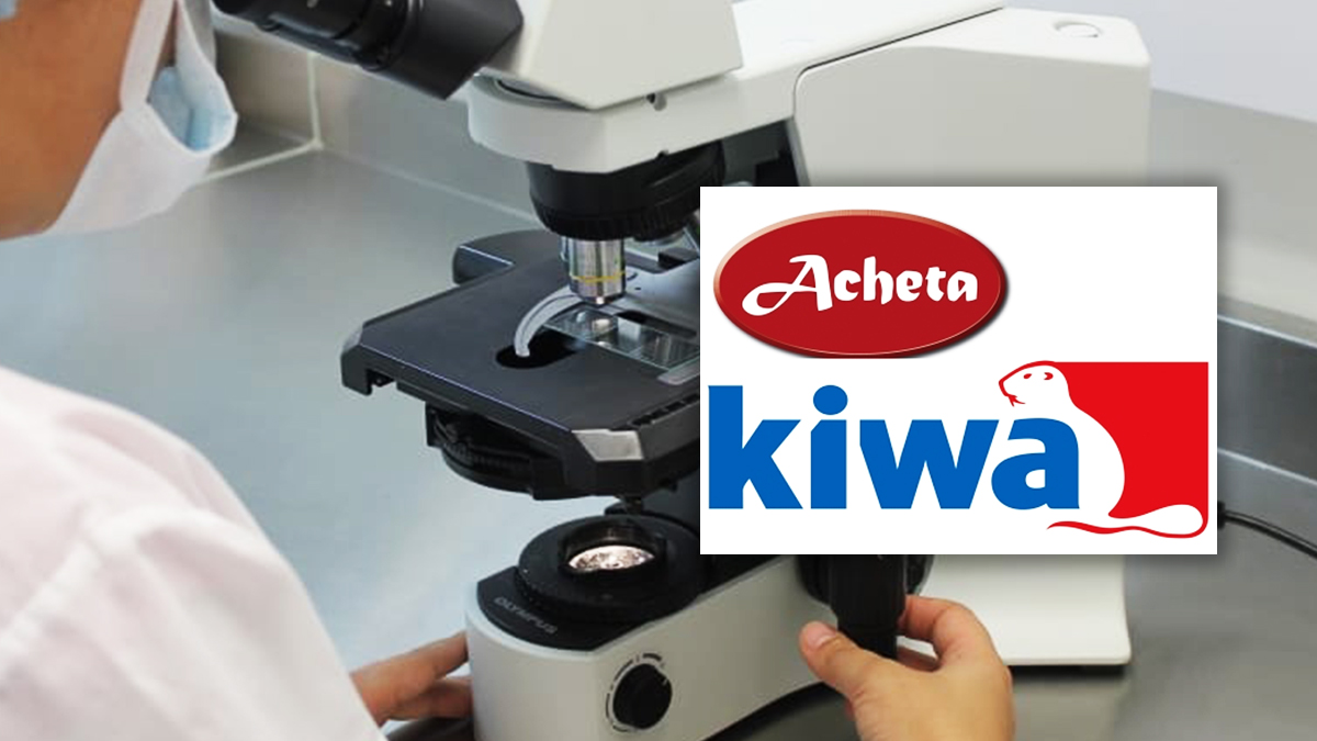 acheta kiwa sale pest control acheta kiwa sale pest control